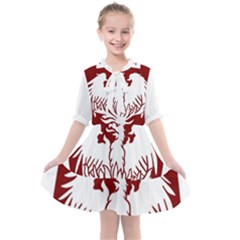 University Of Chicago Kids  All Frills Chiffon Dress by avitendut