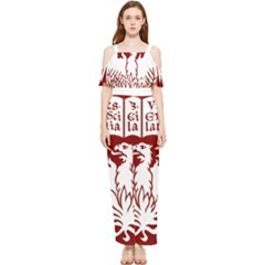 University Of Chicago Draped Sleeveless Chiffon Jumpsuit by avitendut