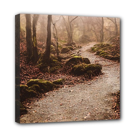 Path Trees Forest Fantasy Mini Canvas 8  X 8  (stretched) by Anend