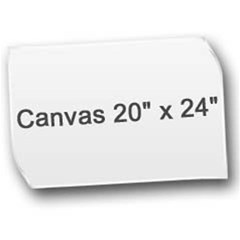 Canvas 20  x 24  Icon