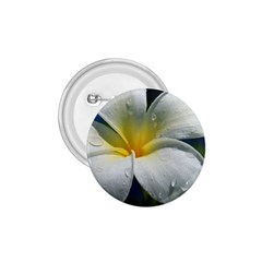 Frangipani Tropical Flower Small Button (round) by Koalasandkangasplus