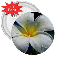 Frangipani Tropical Flower 10 Pack Large Button (round) by Koalasandkangasplus