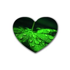 Waterdrops Drink Coasters (heart) by Siebenhuehner