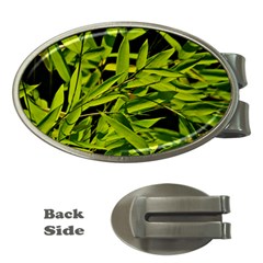 Bamboo Money Clip (oval) by Siebenhuehner