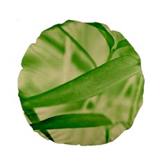 Bamboo 15  Premium Round Cushion  by Siebenhuehner