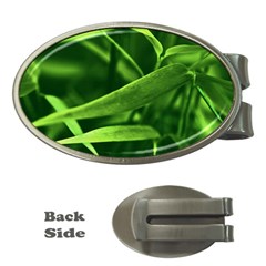 Bamboo Money Clip (oval) by Siebenhuehner