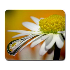 Daisy With Drops Large Mouse Pad (rectangle) by Siebenhuehner