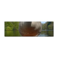 Geese Bumper Sticker 10 Pack by Siebenhuehner