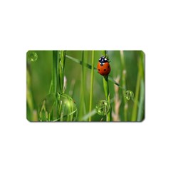 Ladybird Magnet (name Card) by Siebenhuehner