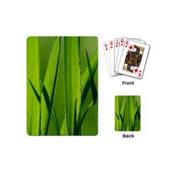 Grass Playing Cards (mini) by Siebenhuehner