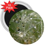 Dandelion 3  Button Magnet (10 pack) Front