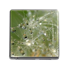 Dandelion Memory Card Reader With Storage (square) by Siebenhuehner