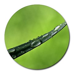 Green Drops 8  Mouse Pad (round) by Siebenhuehner