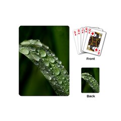 Grass Drops Playing Cards (mini) by Siebenhuehner