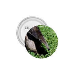 Giant Anteater 1 75  Button by AnimalLover