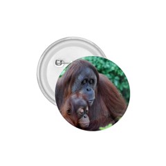 Orangutan Family 1 75  Button by AnimalLover