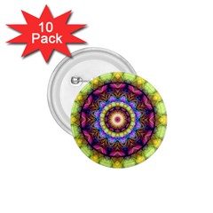 Rainbow Glass 1 75  Button (10 Pack) by Zandiepants