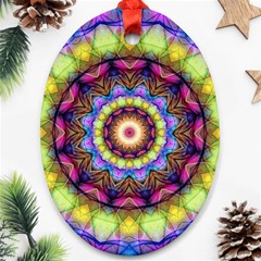 Rainbow Glass Oval Ornament (two Sides) by Zandiepants