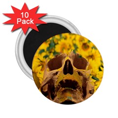 Sunflowers 2 25  Button Magnet (10 Pack) by icarusismartdesigns