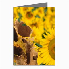 Sunflowers Greeting Card (8 Pack) by icarusismartdesigns