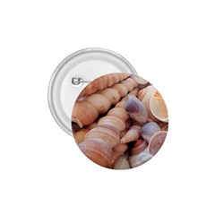 Sea Shells 1 75  Button by yoursparklingshop