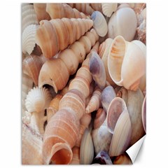 Sea Shells Canvas 12  X 16  (unframed) by yoursparklingshop