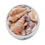Sea Shells 4-Port USB Hub (Two Sides) Front