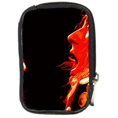 Robert And The Lion Compact Camera Cases by SaraThePixelPixie