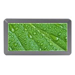 GREEN LEAF DROPS Memory Card Reader (Mini) Front