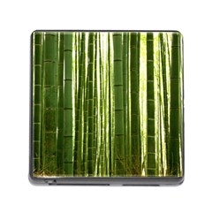 Bamboo Grove 2 Memory Card Reader (square) by trendistuff