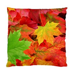 Autumn Leaves 1 Standard Cushion Cases (two Sides)  by trendistuff