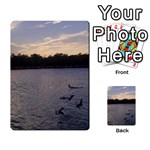 Intercoastal Seagulls 3 Multi-purpose Cards (Rectangle)  Back 37