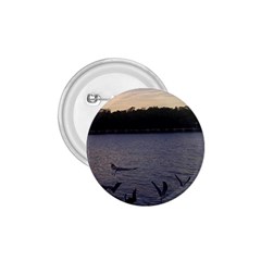 Intercoastal Seagulls 3 1 75  Buttons by Jamboo