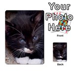 KITTY IN A CORNER Multi-purpose Cards (Rectangle)  Back 35