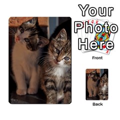 Cute Kitties Multi-purpose Cards (rectangle)  by trendistuff