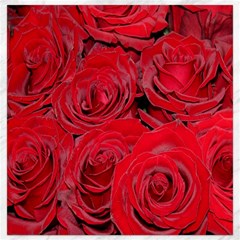 Red Roses Love Canvas 12  X 12   by yoursparklingshop