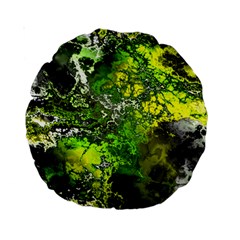 Amazing Fractal 27 Standard 15  Premium Round Cushions by Fractalworld