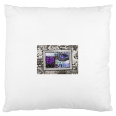 13619977 10209771828634909 341631215116018235 N Large Flano Cushion Case (two Sides) by jpcool1979