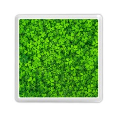Shamrock Clovers Green Irish St  Patrick Ireland Good Luck Symbol 8000 Sv Memory Card Reader (square)  by yoursparklingshop