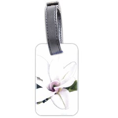 White Magnolia Pencil Drawing Art Luggage Tags (two Sides) by picsaspassion