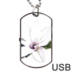 White Magnolia Pencil Drawing Art Dog Tag Usb Flash (one Side) by picsaspassion