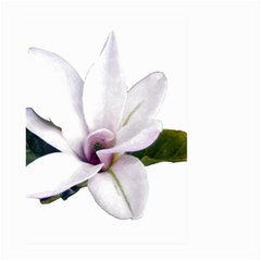 Magnolia Wit Aquarel Painting Art Large Garden Flag (two Sides) by picsaspassion