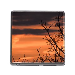 Tree Branches And Sunset Memory Card Reader (square) by picsaspassion