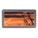 Tree branches and sunset Memory Card Reader (Mini) Front