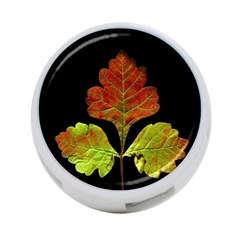 Autumn Beauty 4-port Usb Hub (one Side) by Nexatart