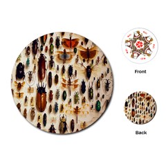 Insect Collection Playing Cards (round)  by Nexatart