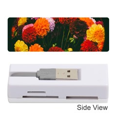 Beautifull Flowers Memory Card Reader (stick)  by Nexatart