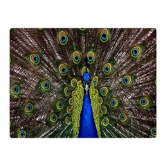 Bird Peacock Display Full Elegant Plumage Double Sided Flano Blanket (mini)  by Amaryn4rt