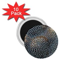 Coral Pattern 1 75  Magnets (10 Pack)  by Amaryn4rt