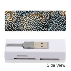 Coral Pattern Memory Card Reader (stick)  by Amaryn4rt
